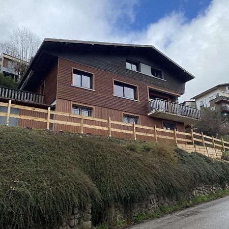 Chalet Les Trois Vallees Villa La Bresse Exterior photo